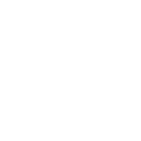 icon-24w